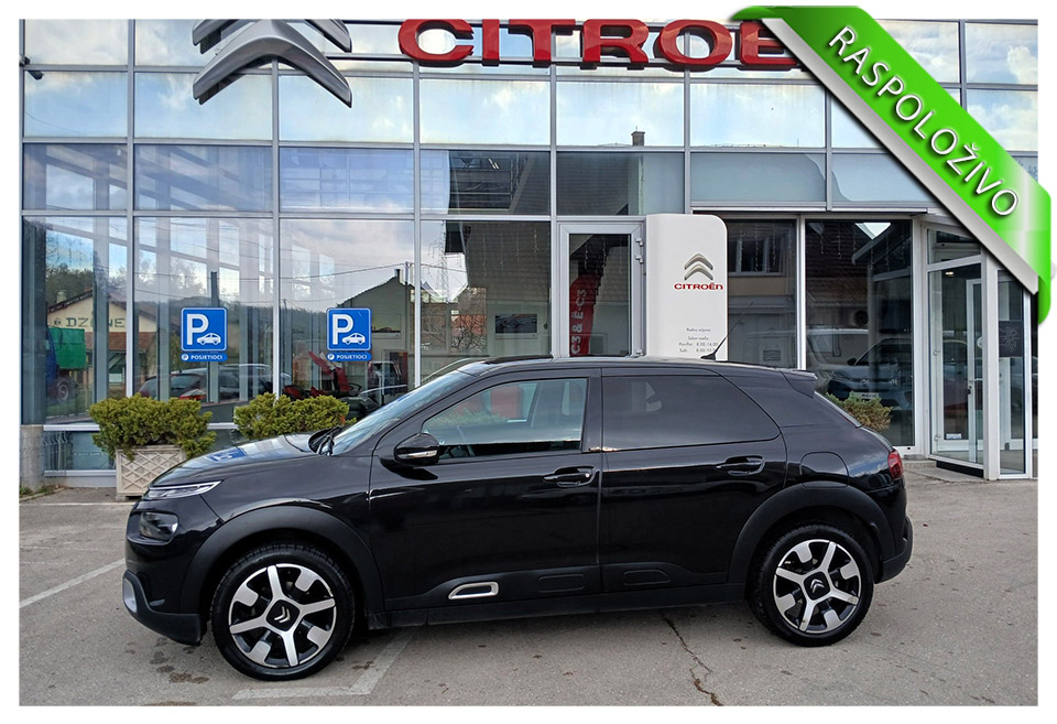 C4 Cactus SHINE PURETECH 110